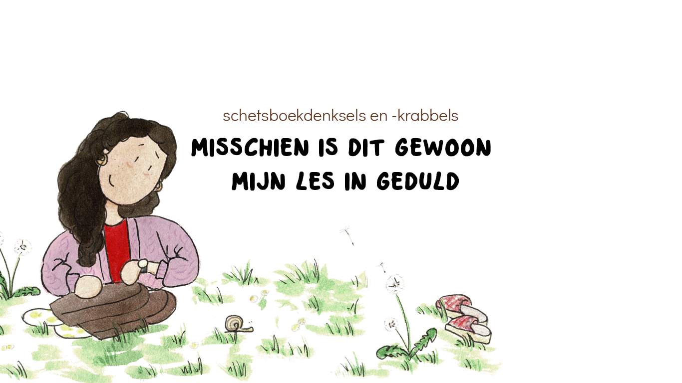Misschien is dit gewoon mijn les in geduld
